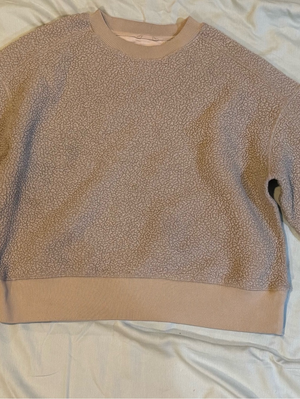 Everlane Plush Crewneck Sweater in Light Taupe